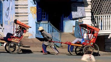 Los principios de los viajes eco-responsables