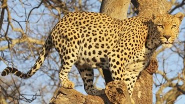 Tanzania, a country of discovery