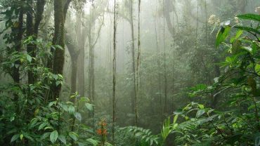 Visit Costa Rica, an incomparable country