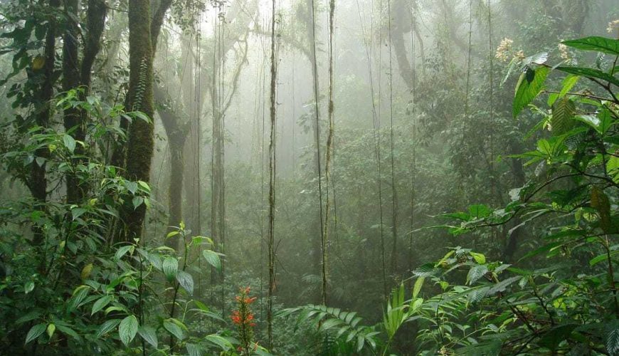 Visit Costa Rica, an incomparable country