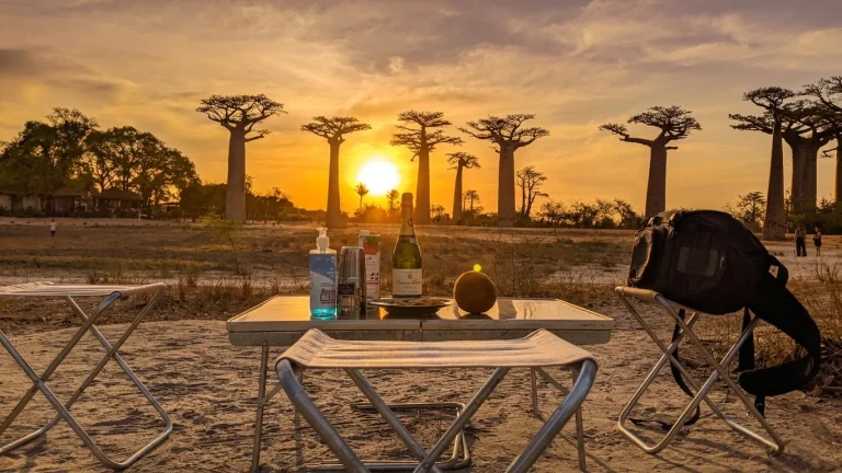 Set-up-allee-des-baobabs Set-up-allee-des-baobabs