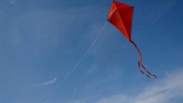 Dans la culture de Madagascar, le Papango ou cerf-volant est un jeu ancestral hérité d'origine lointaine.