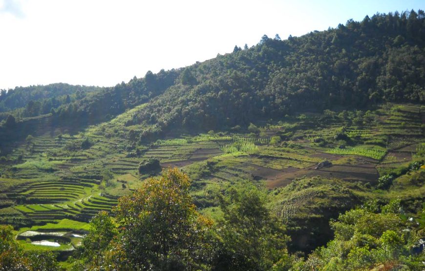 Akory Aby* (*How are you)