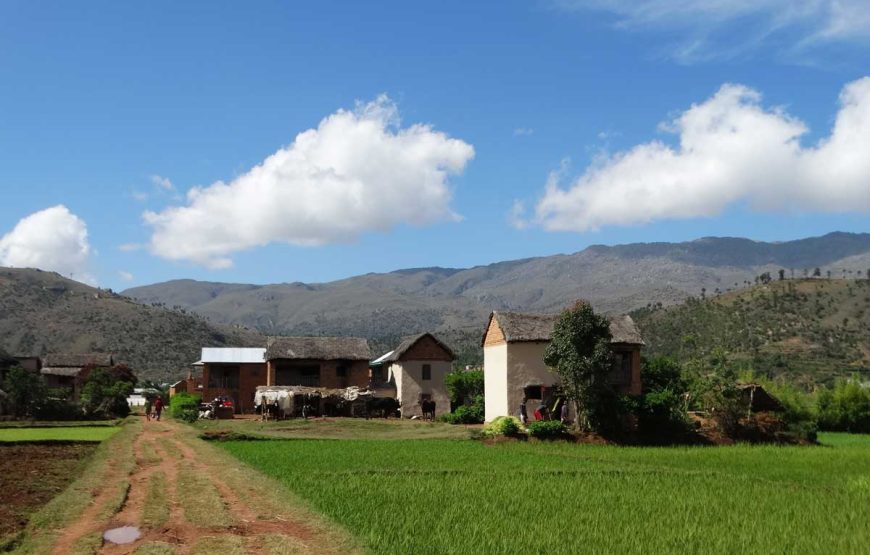 Akory Aby* (*How are you)