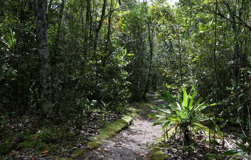 Akory Aby* (*How are you)