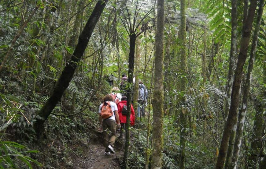 Akory Aby* (*How are you)