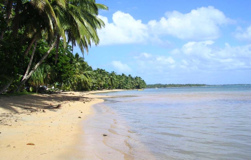 Dirigiéndose hacia el norte