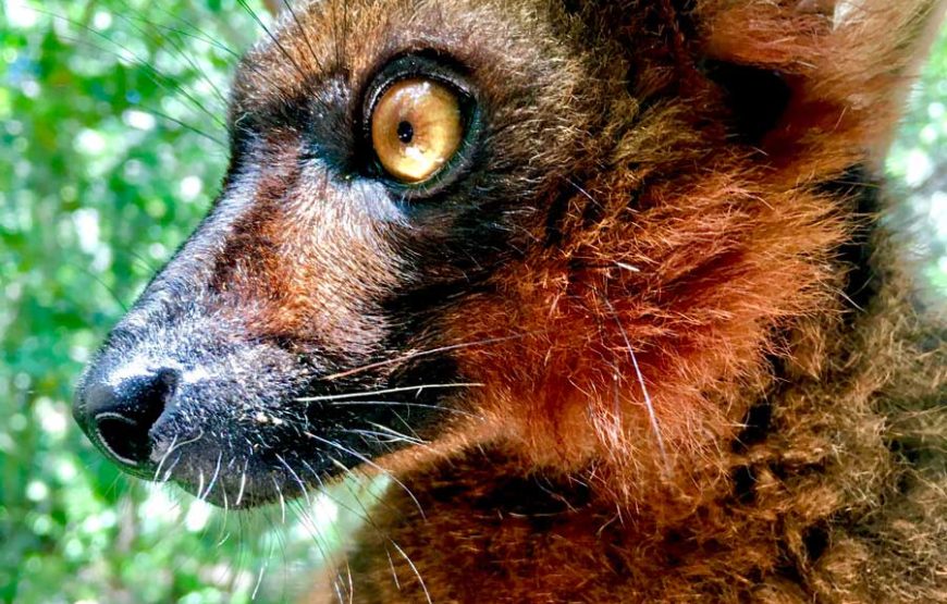 Dirigiéndose hacia el norte