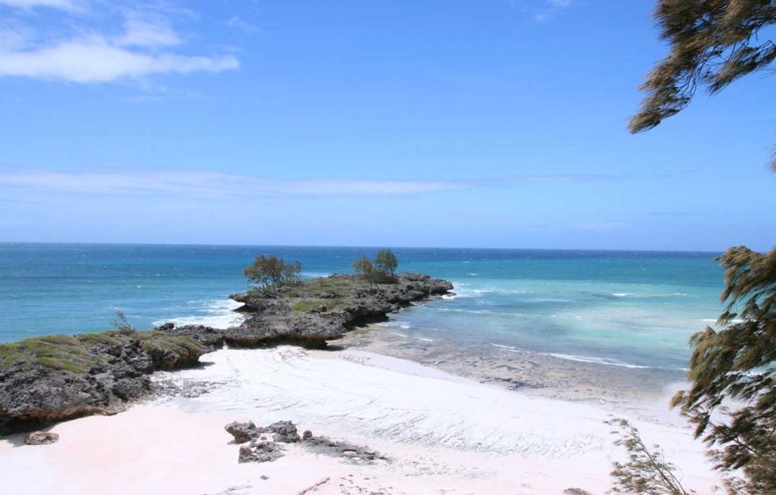 Dirigiéndose hacia el norte