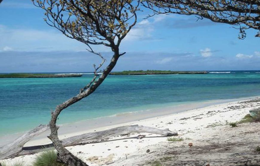 Dirigiéndose hacia el norte