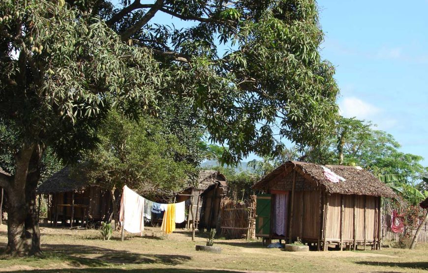 Dirigiéndose hacia el norte