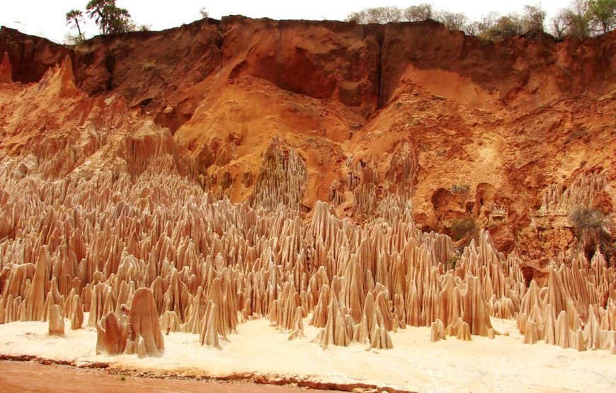 Dirigiéndose hacia el norte