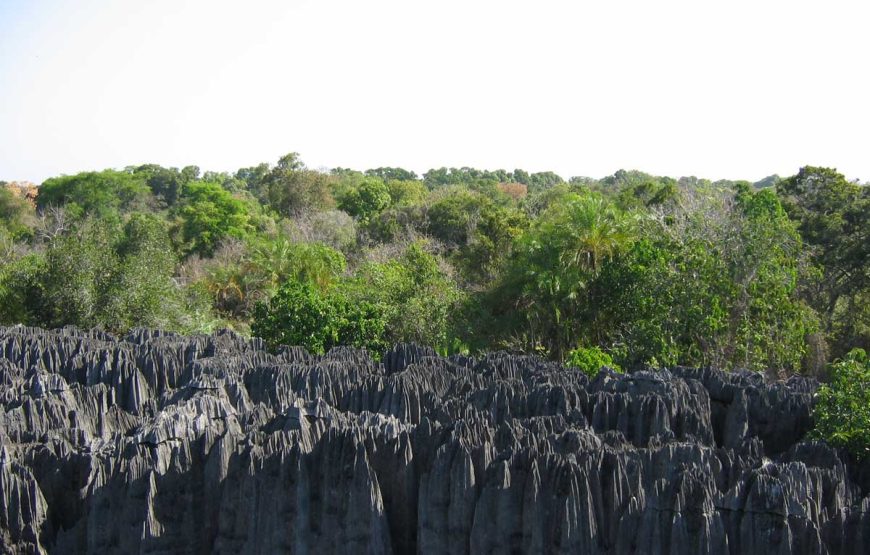 Dirigiéndose hacia el norte