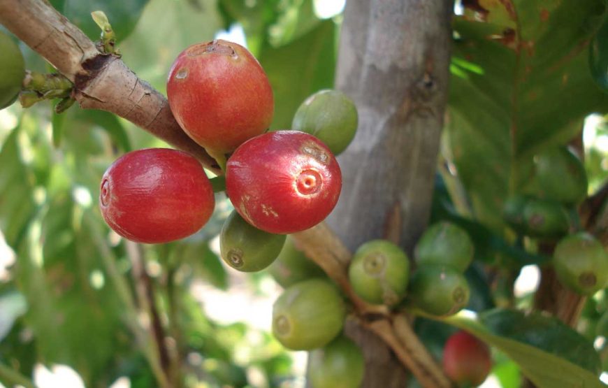 Dirigiéndose hacia el norte
