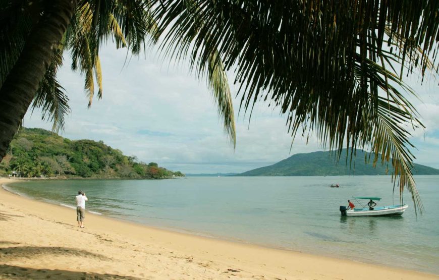 Dirigiéndose hacia el norte