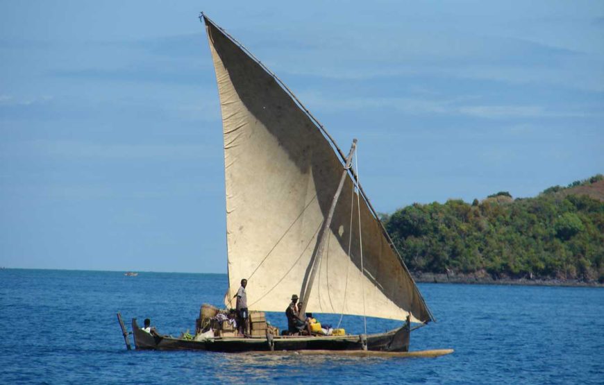 Dirigiéndose hacia el norte