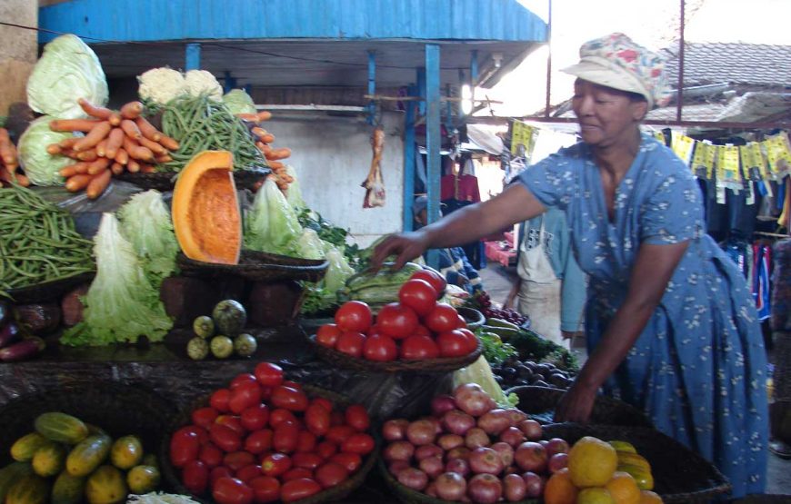 Culinary - Culture and immersion in the South