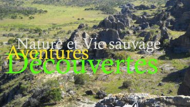 Viajar a Madagascar