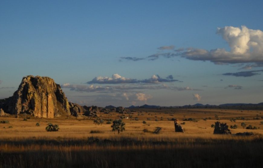 Los colores del sur (RN7)