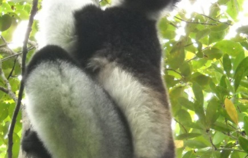 Los colores del sur (RN7)