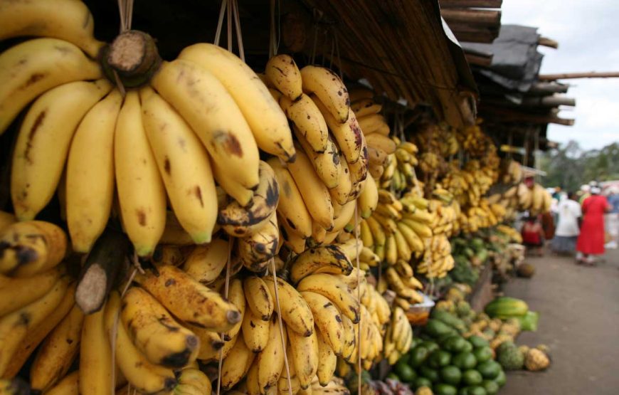 La Beauté de l’Est