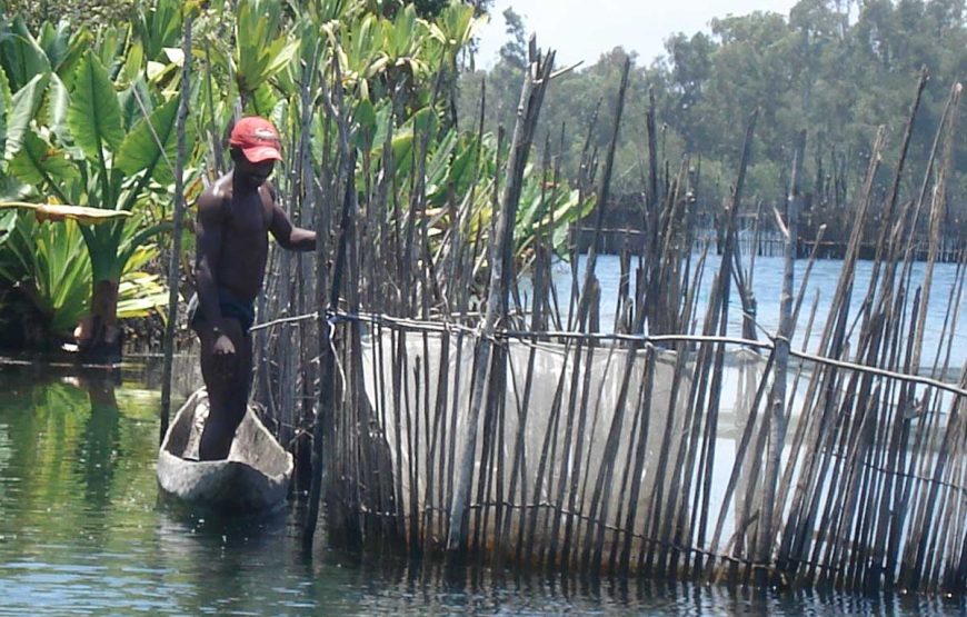 La Beauté de l’Est