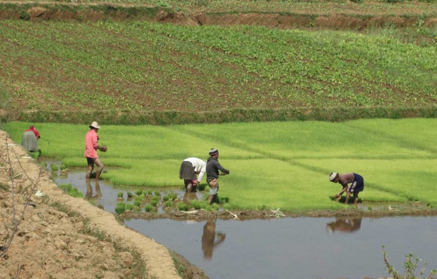 Solidarity trip and immersion on the NR7