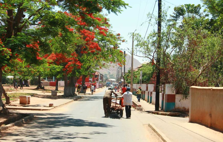 Solidarity trip and immersion on the NR7