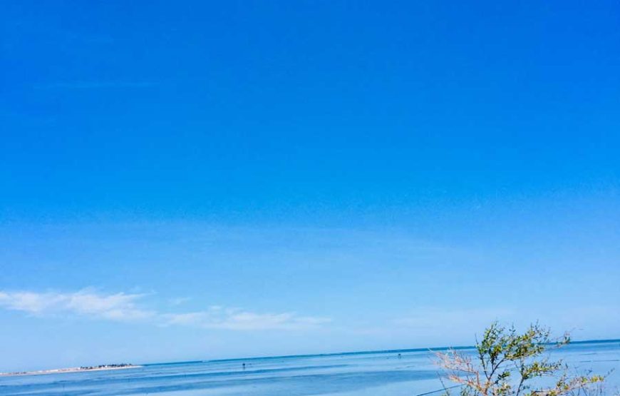 Solidarity trip and immersion on the NR7