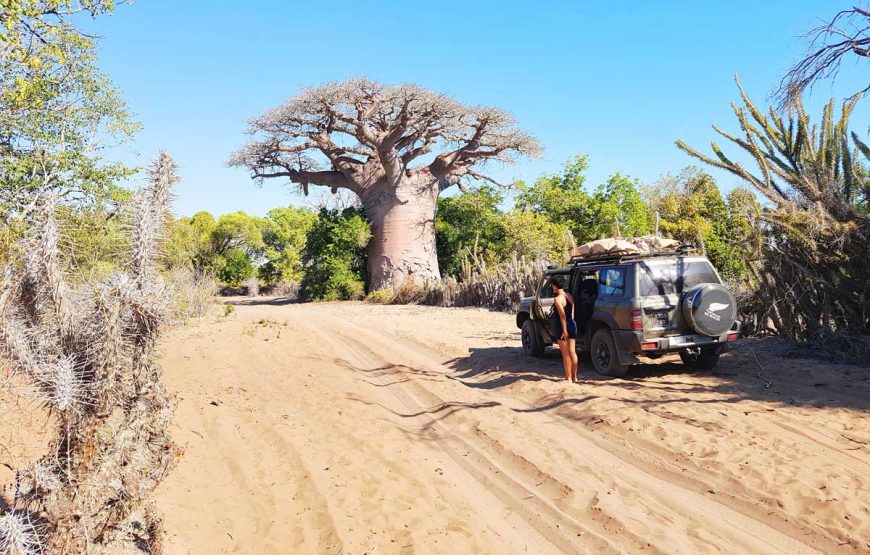 Baobab, Aventures et Lagons