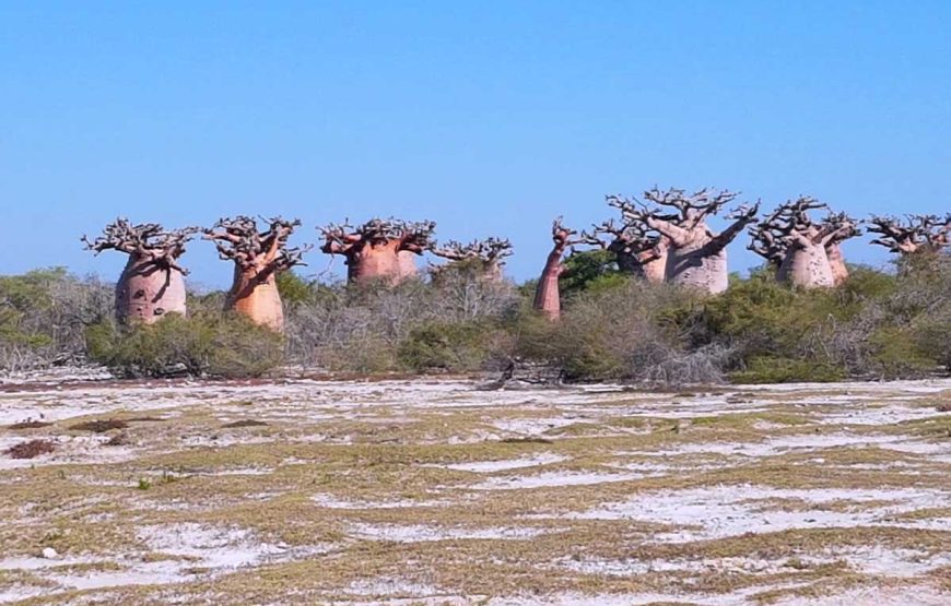 Baobab, Aventures et Lagons