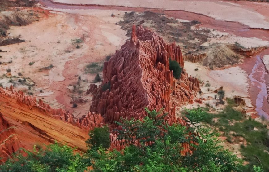 Diego de lo contrario