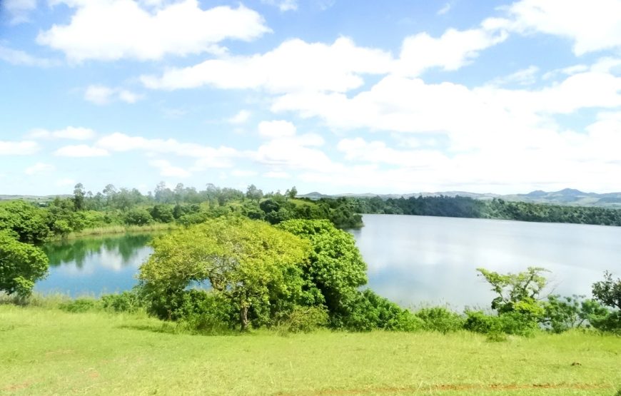 Diego de lo contrario