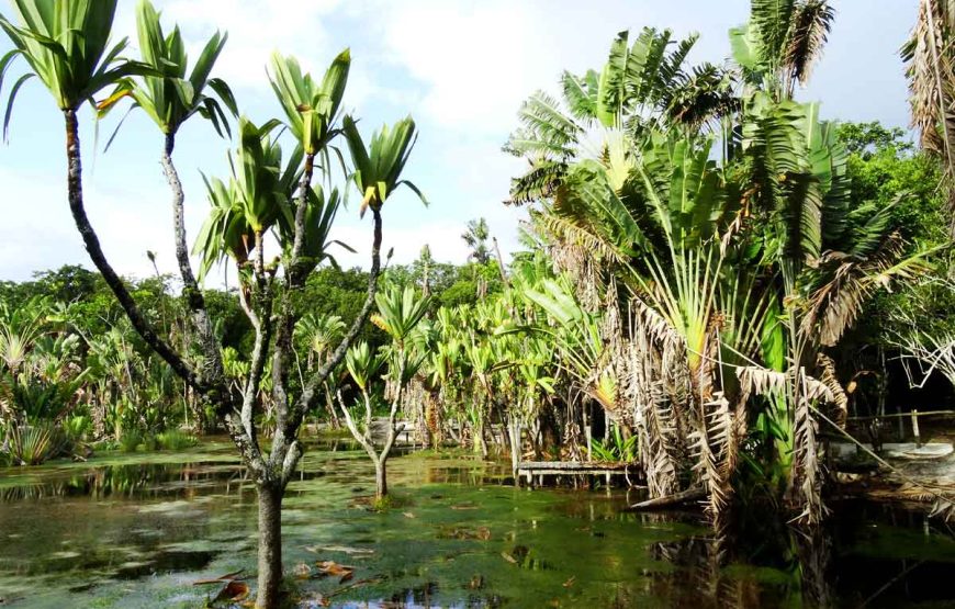 relax – Abrir la cremallera