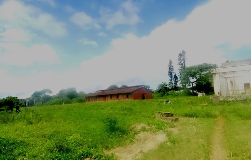 Diego de lo contrario