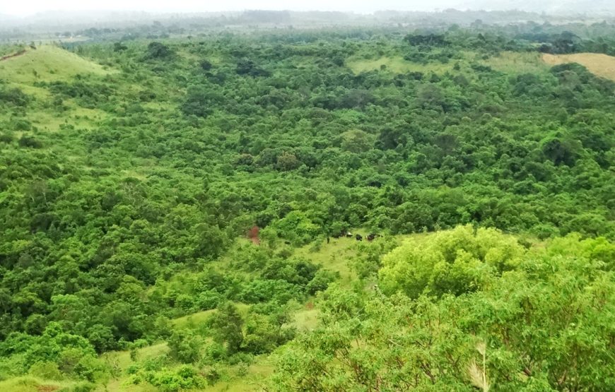 Diego de lo contrario