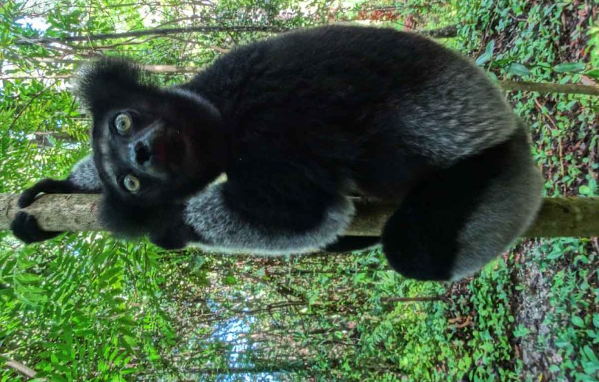 relax – Abrir la cremallera