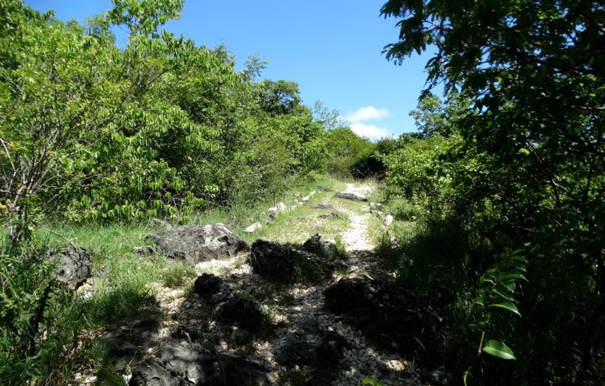 Diego de lo contrario