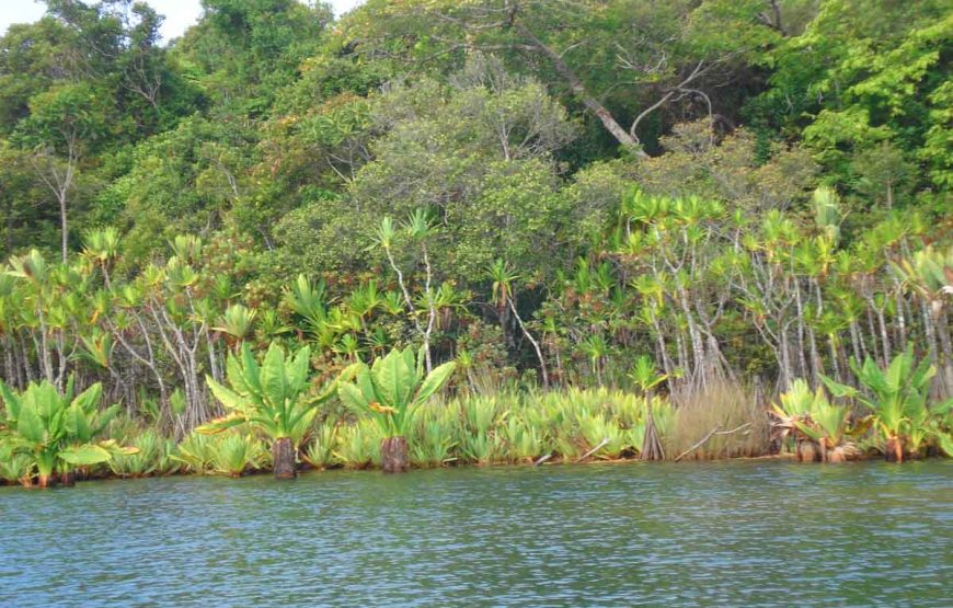 relax – Abrir la cremallera