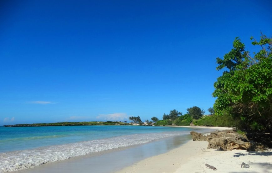 Diego de lo contrario