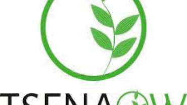 Madagascar s'engage à travers diverses actions citoyennes.