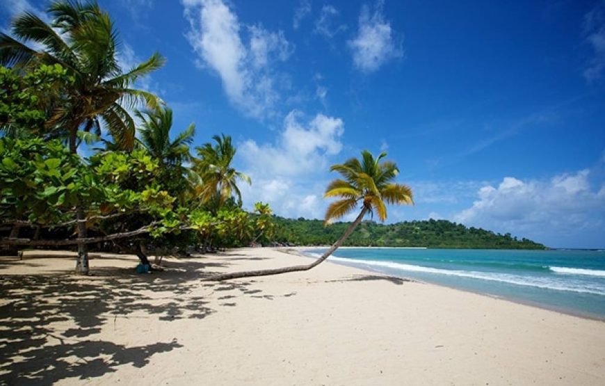 Diégo’s Idyll in Nosy Be