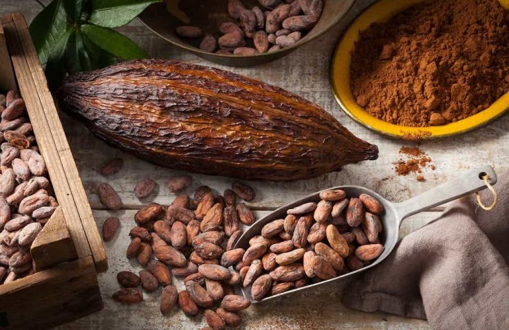 Le cacao de Madagascar