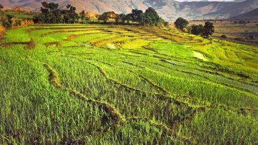 Cultura de Madagascar: El Santa-bary