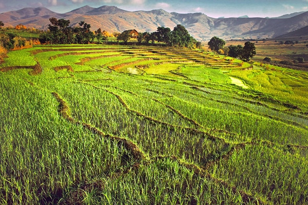 Culture de Madagascar : Le Santa-bary