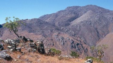 Biodiversidad de Madagascar: Monte Ibity