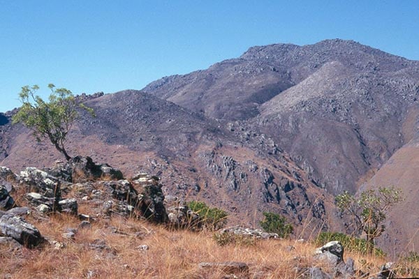 Biodiversity of Madagascar: Mount Ibity