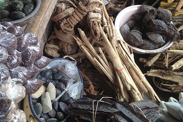 Malagasy tradition: natural health. Recognition of ancestral culture on track.