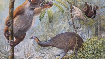 Riqueza de Madagascar: un tesoro enterrado en las entrañas de las cuevas de Tsimanampetsotse