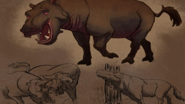 En las leyendas de Madagascar: La Lalomena, una criatura mítica